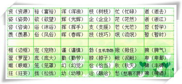 鹦字组词造句-鹦鹉嘴巴巧可以用什么词来说？