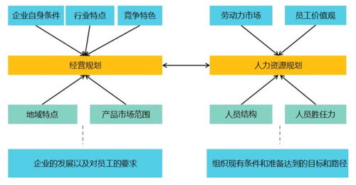 人力资源规划助力企业发展