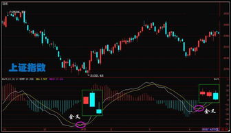 MACD啊金死叉信号和红绿亮条配合什么指标来分析和确认信号