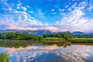 8月17日起神农架景区恢复开放(大九湖有免费停车场嘛电话)