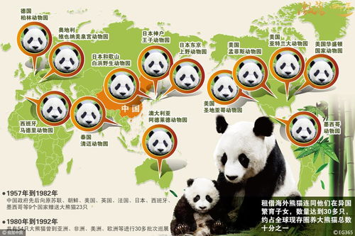 你支持大熊猫租借到外国吗,究竟是怎么一回事