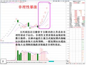 个股理性与非理性状态表现特征