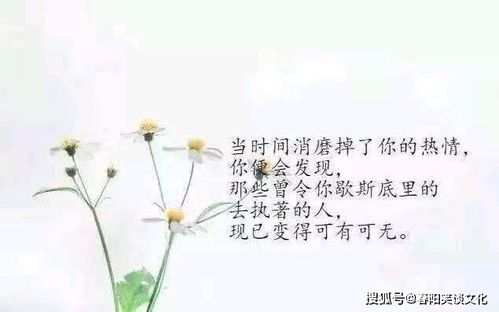 一句话心情语录,简短走心,人人点赞