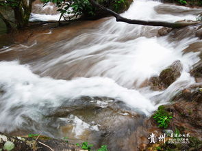 梦到了河水湍急是什么意思(梦见河流水很急是什么意思)