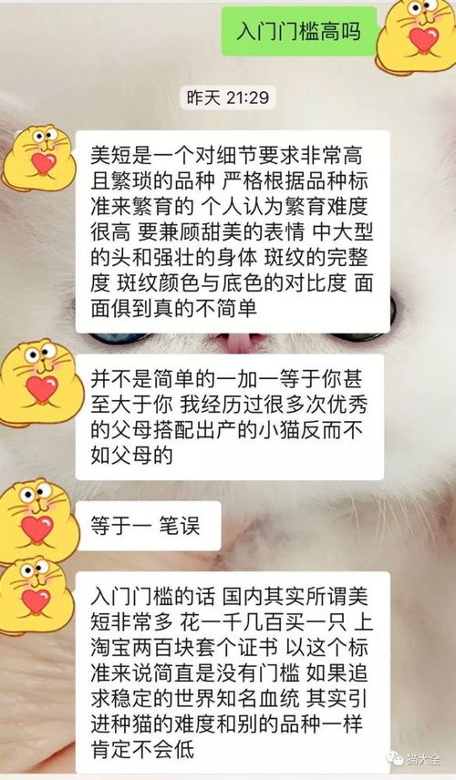 深扒猫舍卖猫行业 一年利润3个亿,是暴利还是辛苦钱 