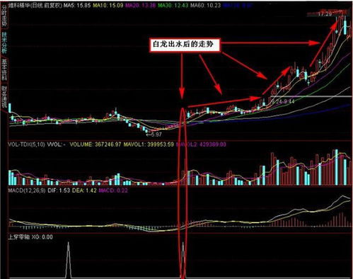 为什么打个股票资金流水要等一个星期才可以拿到？