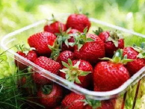 朋友圈疯传这种草莓打过染色剂 宁波农科院的专家说