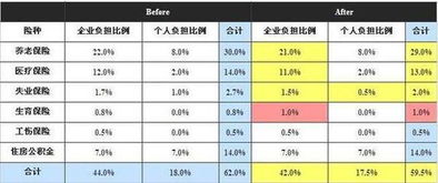 基本养老保险费计入养老保险计入什么科目