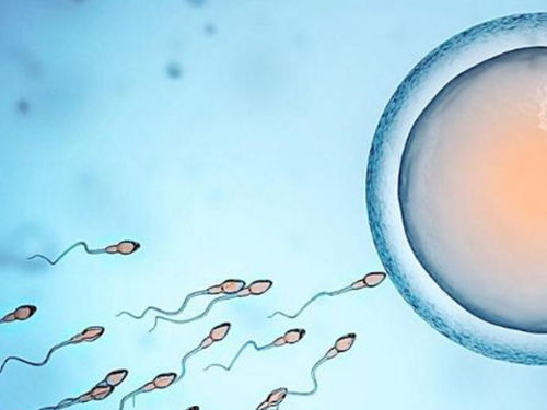 semen和sperm的区别(semisphere和hemisphere区别)