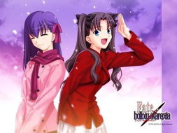 Fate hollow ataraxia