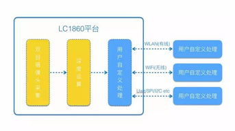 冷知识整体定位？整体定位策略(定位论整体论)