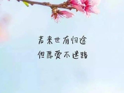 朋友圈今年最流行的句子