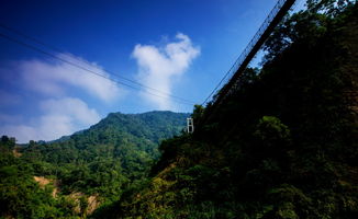 阿里山 山脚下