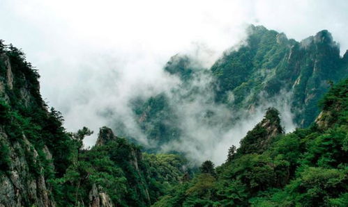 谁才是河南山水游龙头景区,老君山还是云台山