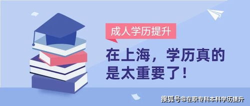 上海中科软没学历能进吗