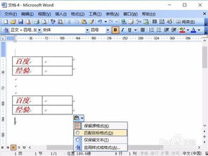 Word2003怎么使用选择粘贴格式 