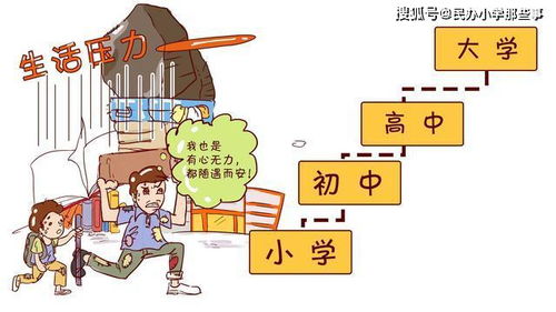 上海幼升小真相 小学择校定终身,告诉你为什么千万不能上菜小