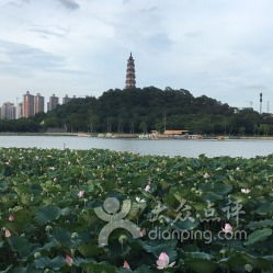 顺德顺峰山公园要门票吗附开放时间及景点介绍(顺峰山公园停车场收费标准图)