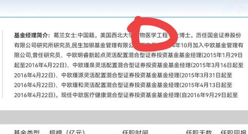 怎么样选择、分析基金公司。