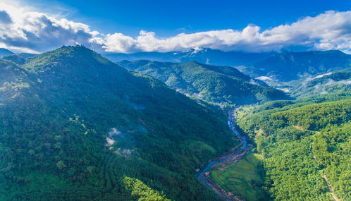 昌江旅游资源(海南昌江旅游景点介绍文)