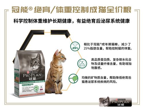 公猫要吃专属猫粮嘛