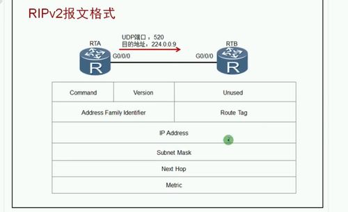 rip协议基于什么协议(rip协议基于什么协议传输端口号是520)