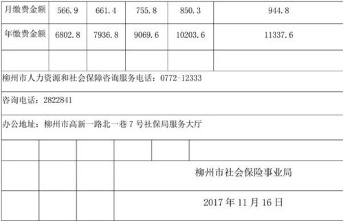 灵活就业人员社保缴费一年多少钱(灵活就业人员养老保险缴费)