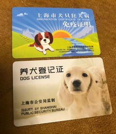 上海一年举报无证养犬达3160件,如何让 黑户犬 合法 入籍 文明饲养