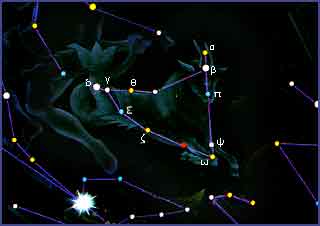 摩羯座有几颗亮星 摩羯座有几颗亮星图片
