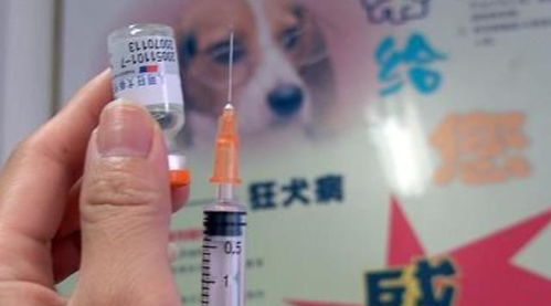 人得了狂犬病,病死率近100 ,打了疫苗就没事了吗