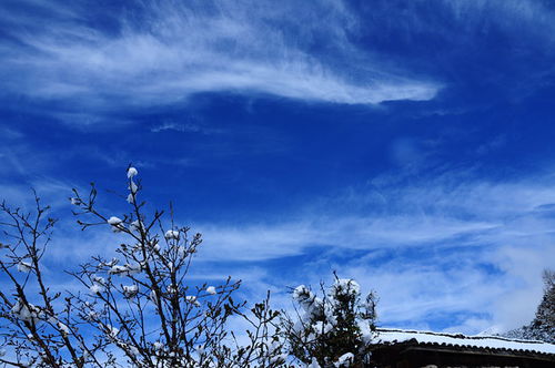 苏州风水大师 哪些风水会阻碍人的前程