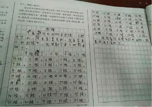 作文作文1500字