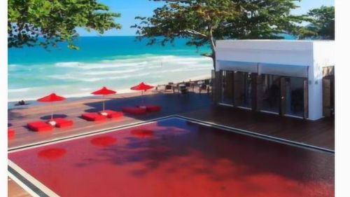 世界上最恐怖的泳池之一,池子里装满了红水,你敢下去游吗 
