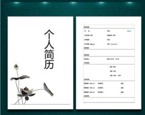 求职简历中,个人荣誉部分应该怎么写,都是写些什么内容 