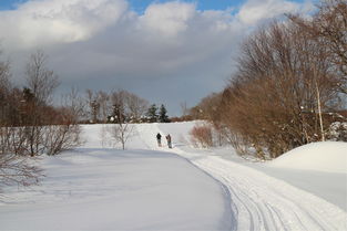 北海道赏雪景