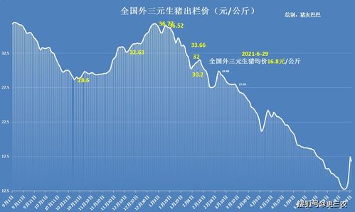 6天疯涨4.69元,猪价逃离 地板线 ,要继续上涨 29日全国猪价