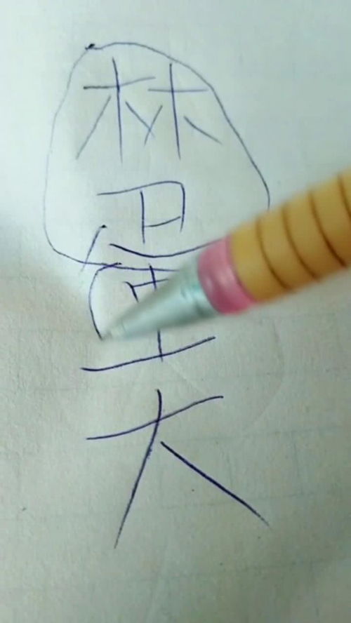 林蛋大的名字解释(林大了什么鸟都有什么意思)