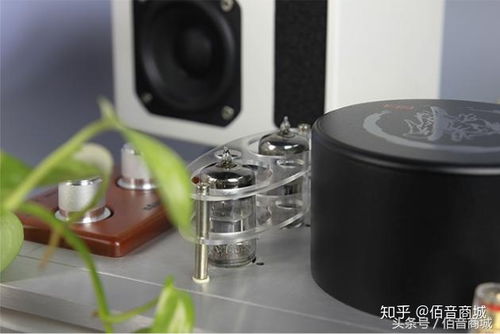 音响界难题 胆机如何搭配音箱 玩发烧都要明白这3个知识点 