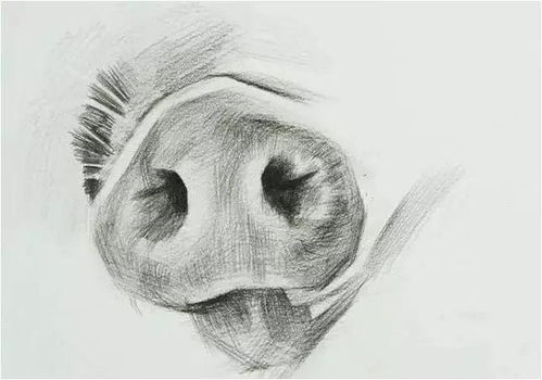 生肖猪 12个月份12种命,这几月出生的子女,天生龙凤命有大出息