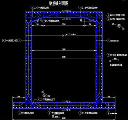 箱涵钢筋横剖面识图求教 