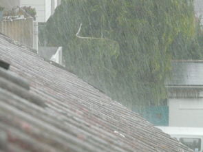 是日大雨，润物无声，是日大雨的是什么意思