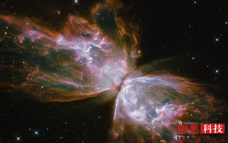 最佳哈勃望远镜照片 面纱星云和蝴蝶星云 