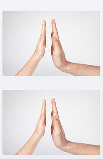 JPG双手手势 JPG格式双手手势素材图片 JPG双手手势设计模板 我图网 