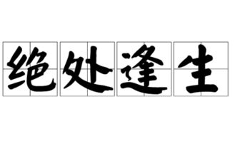 有勇有谋造句80字_张飞是什么样的人四字成语？