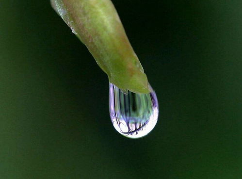 水旺见木克制土,只有用金才能真正护阳