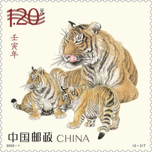 中国邮政 壬寅年 特种邮票在京开印