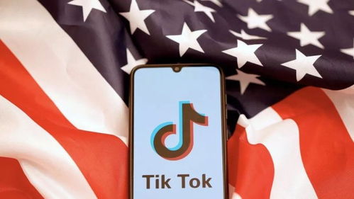 TikTok电商广告逻辑是怎样的广告逻辑大揭秘_TikTok作品观看浏览