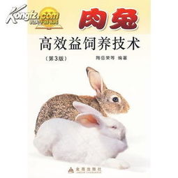 肉兔饲料配方比例 如何制作肉兔饲料 书 光盘 