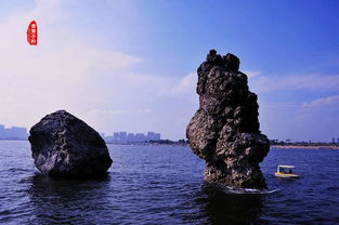 携手渤海湾,我们一起聆听大海的声音