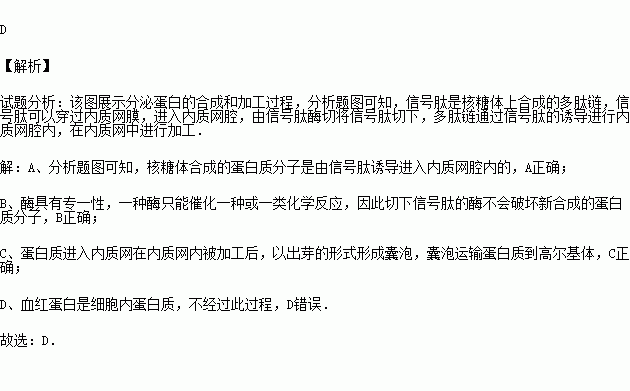 精美的精造句  精能组成什么词？